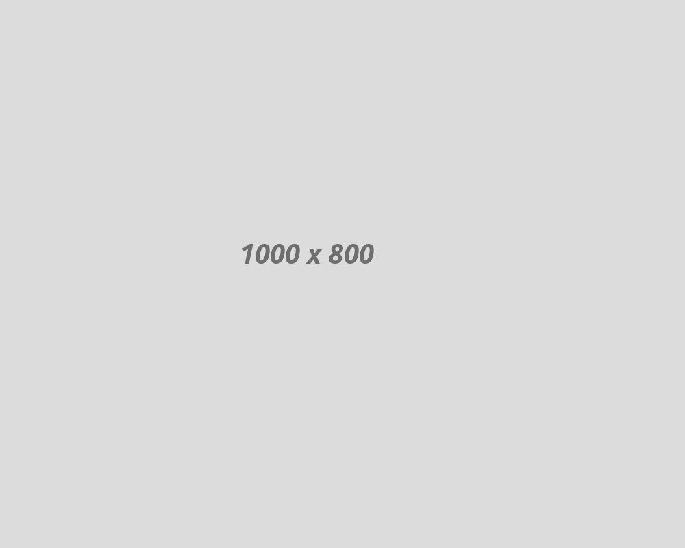 short01